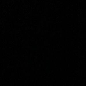 Meet your Posher, Ani